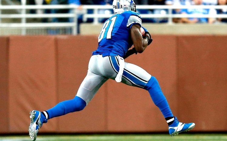 Calvin Johnson Theme screenshot #5