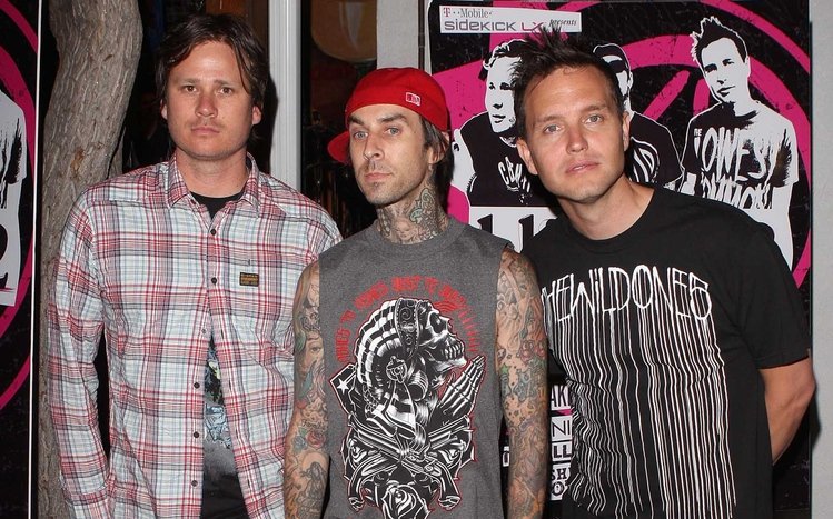 Blink 182 Theme screenshot #4