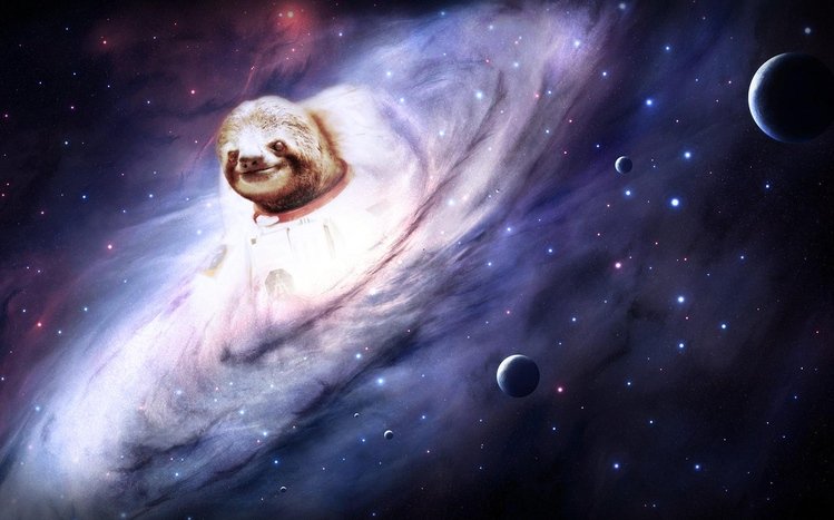 Sloth Theme screenshot #6