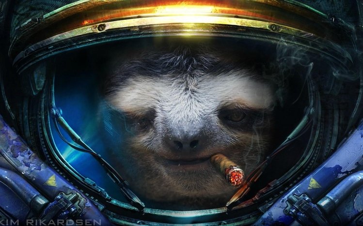 Sloth Theme screenshot #12