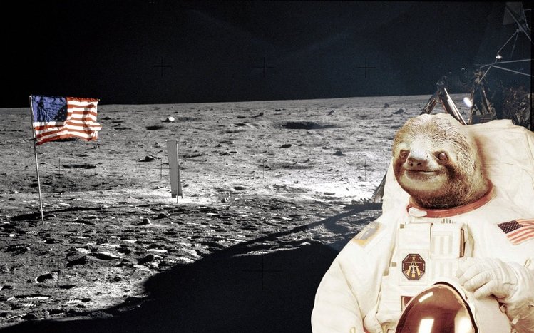 Sloth Theme screenshot #10