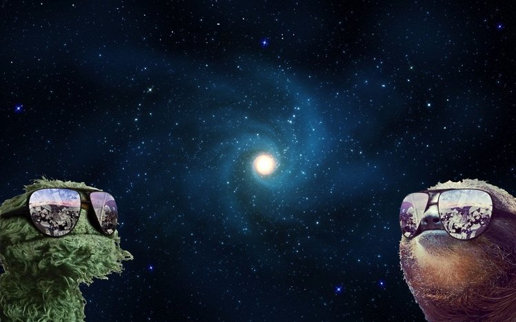 Sloth Theme screenshot #4