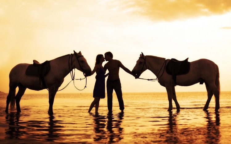 Kiss Theme screenshot #11