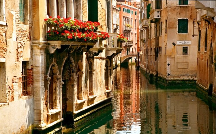 Italy Theme screenshot #5