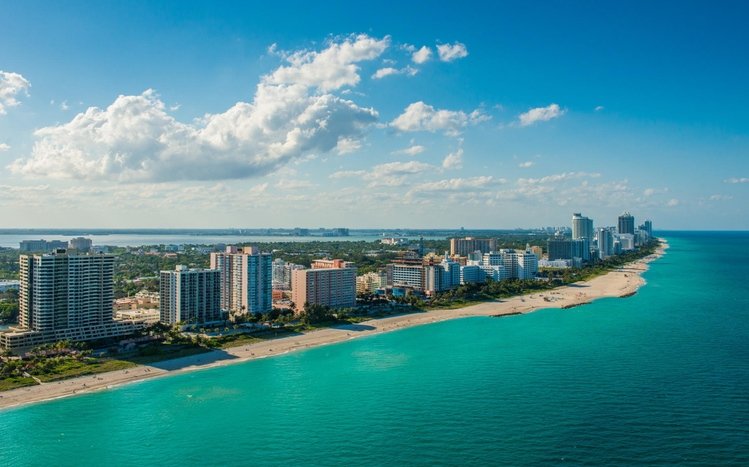 Miami Theme screenshot #15