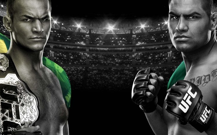 UFC Theme screenshot #10