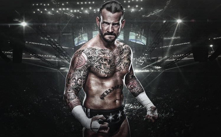 UFC Theme screenshot #1