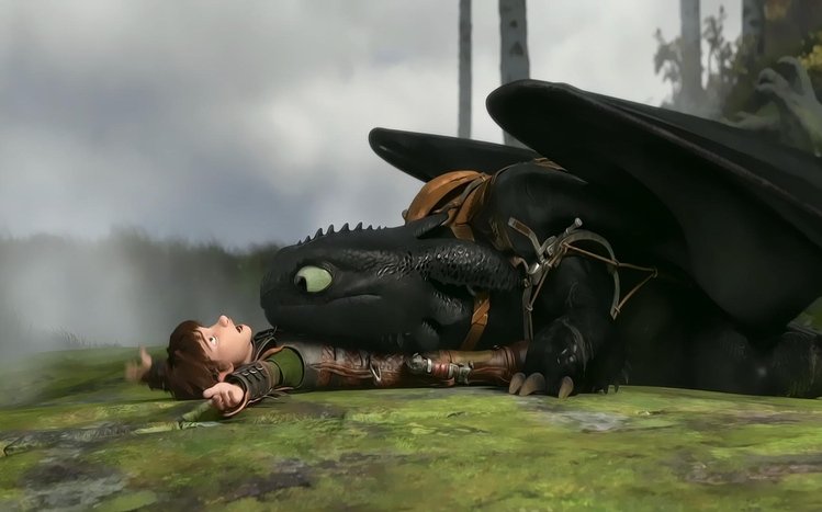 Toothless Theme screenshot #2