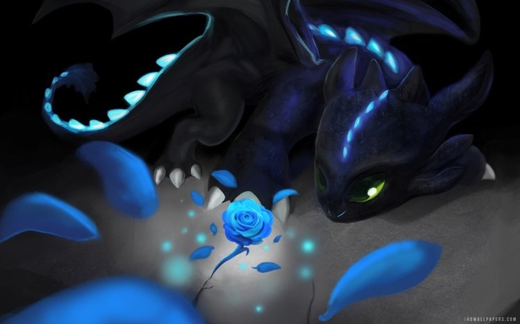 Toothless Theme screenshot #11