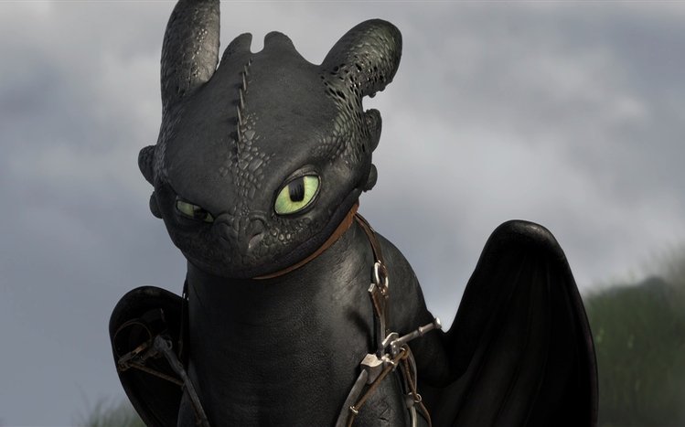Toothless Theme screenshot #3