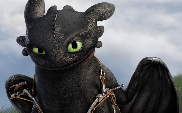 Toothless Theme screenshot #12