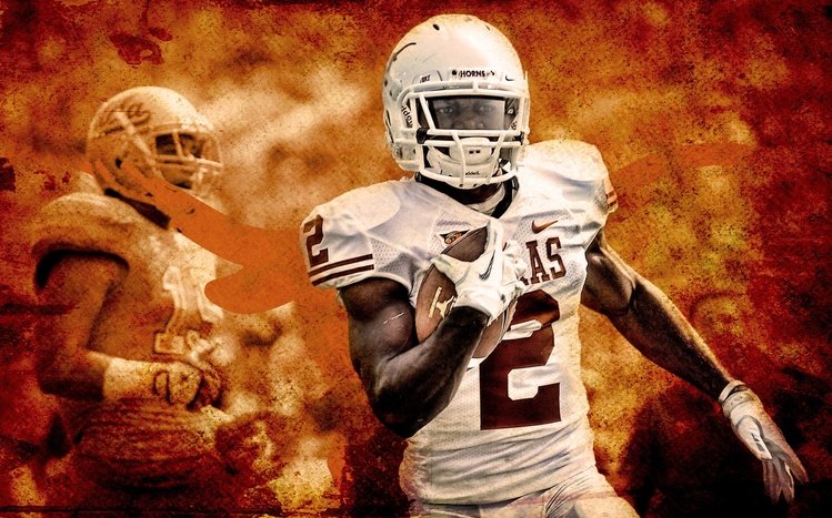 Texas Longhorns Theme screenshot #4