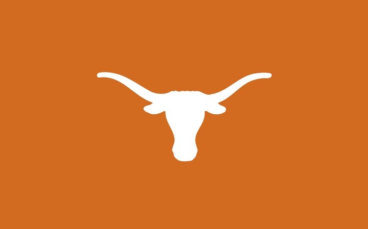 Texas Longhorns Theme screenshot #9