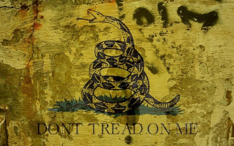 Don't Tread on Me Theme screenshot #3