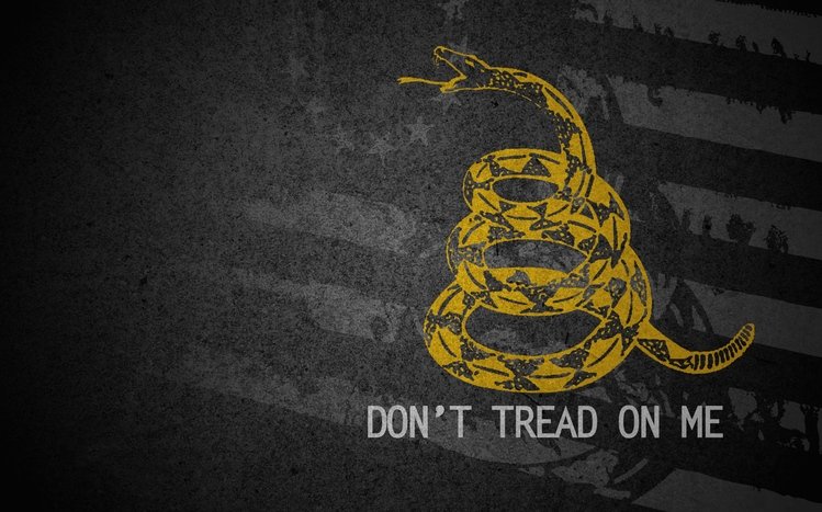 Don't Tread on Me Theme screenshot #1