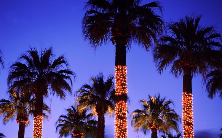 Holiday Lights Theme screenshot #5