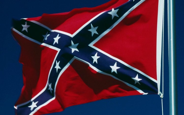 Confederate Flag Theme screenshot #11