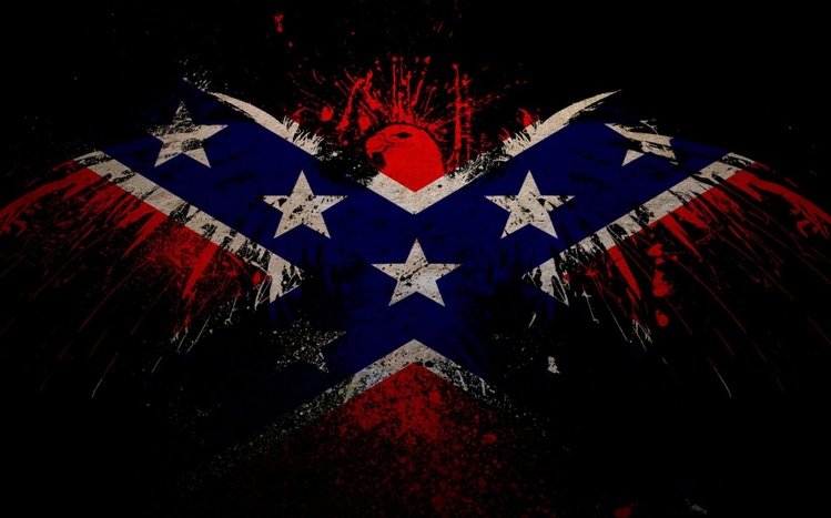 Confederate Flag Theme screenshot #8