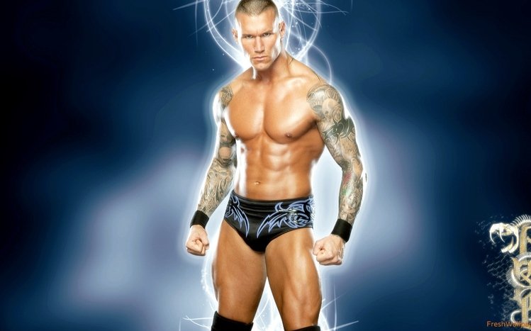 Randy Orton Theme screenshot #7