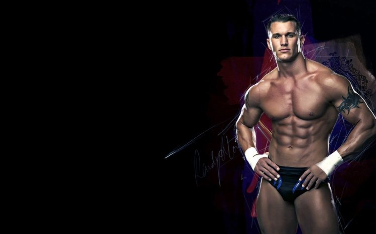 Randy Orton Theme screenshot #5