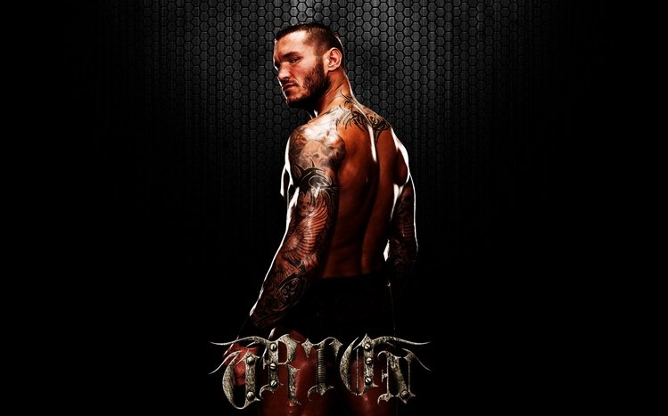 Randy Orton Theme screenshot #9