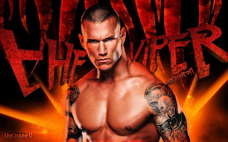 Randy Orton Theme screenshot #11