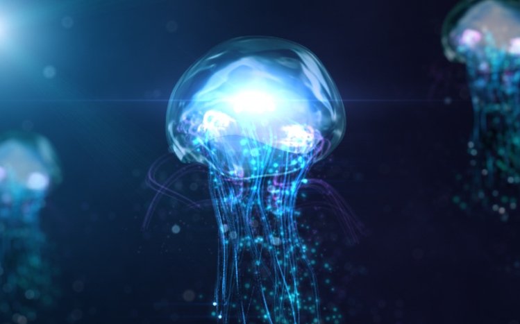 Jellyfish Theme screenshot #6