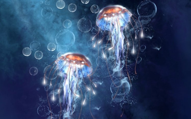 Jellyfish Theme screenshot #11