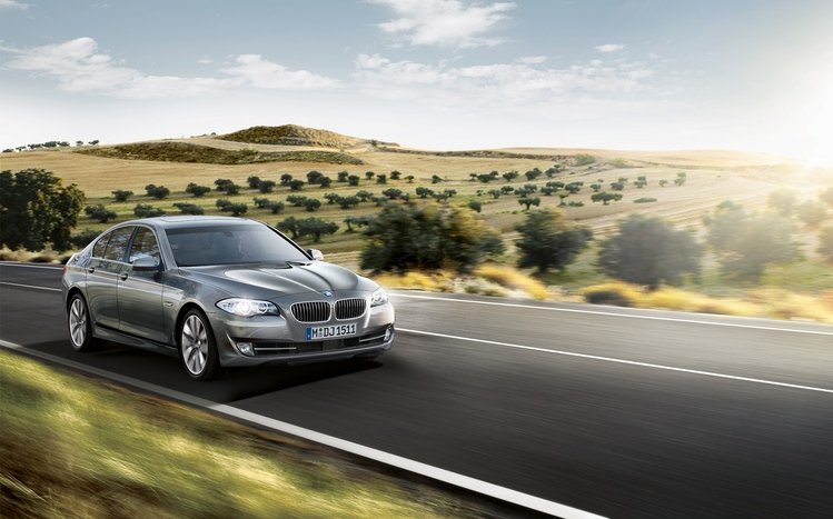 BMW 5 Series Theme screenshot #1