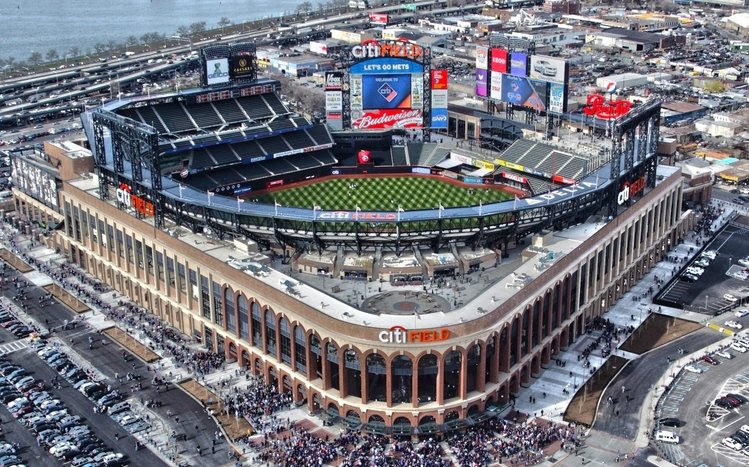 New York Mets Theme screenshot #11