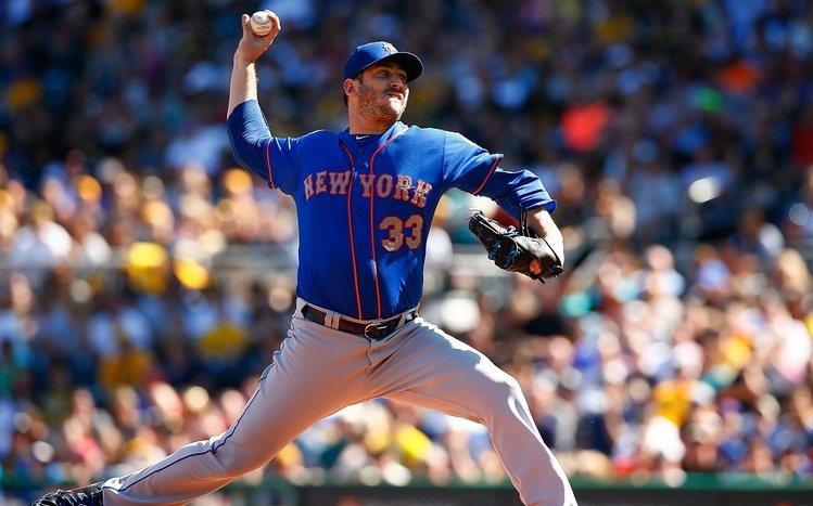 New York Mets Theme screenshot #7