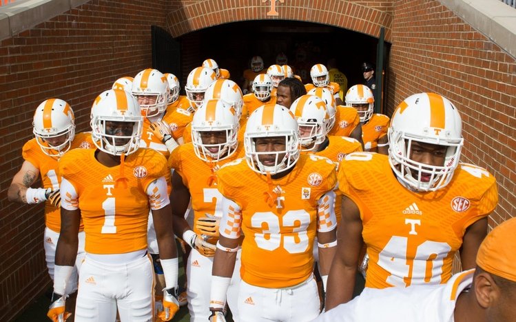 Tennessee Vols Theme screenshot #4