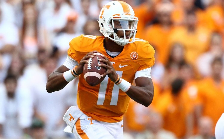 Tennessee Vols Theme screenshot #3