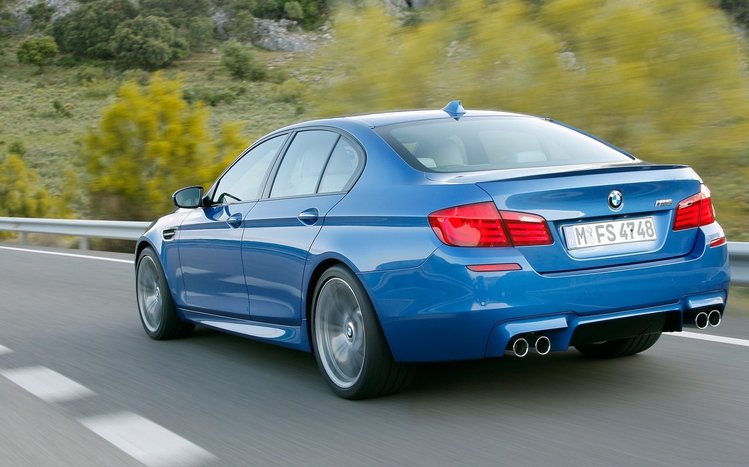 BMW Theme screenshot #7