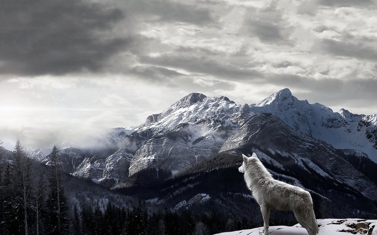 Wolves Theme screenshot #6