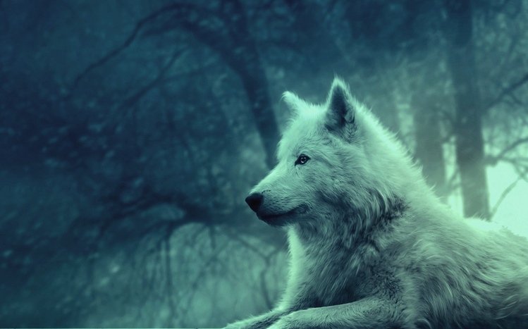 Wolves Theme screenshot #11