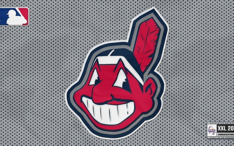 Cleveland Indians Baseball Theme screenshot #4