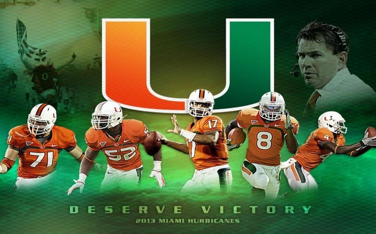 Miami Hurricanes Theme screenshot #12