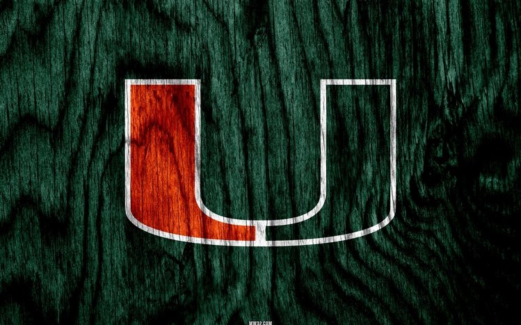 Miami Hurricanes Theme screenshot #1