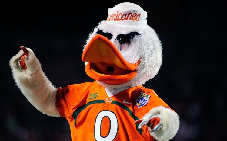 Miami Hurricanes Theme screenshot #4