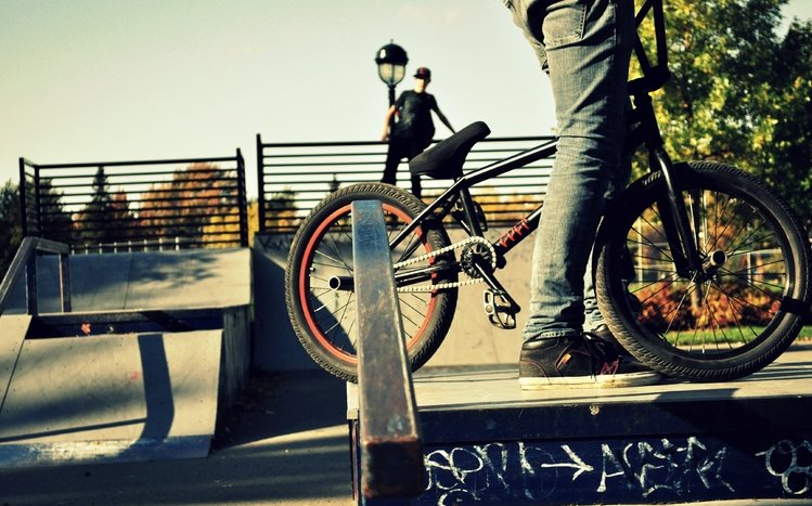 BMX Theme screenshot #7