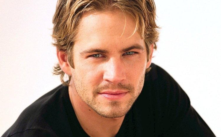 Paul Walker Theme screenshot #9