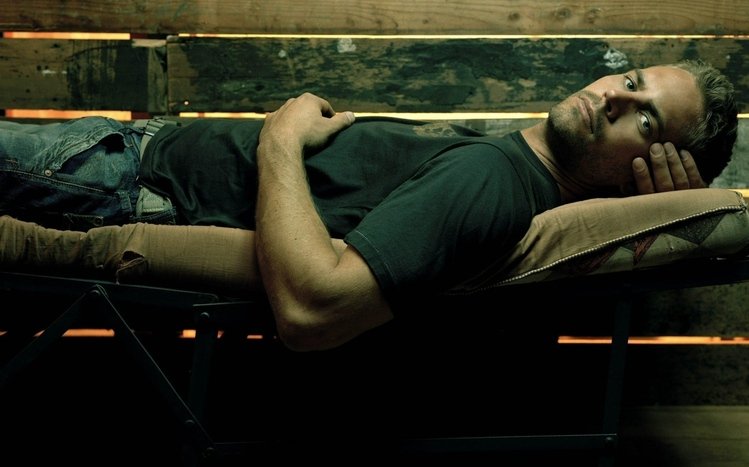 Paul Walker Theme screenshot #15