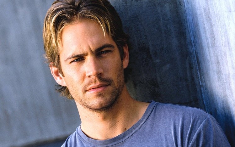 Paul Walker Theme screenshot #10
