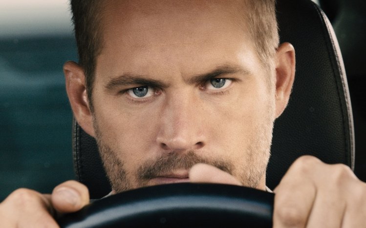 Paul Walker Theme screenshot #13