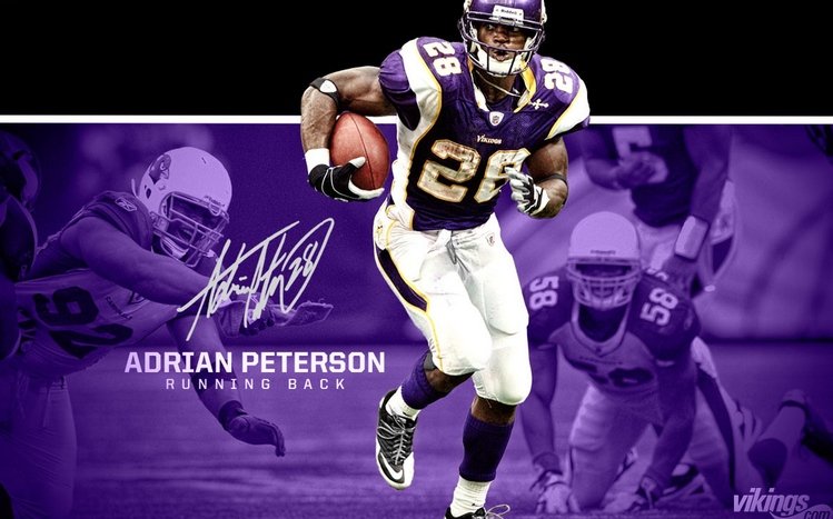 Adrian Peterson Theme screenshot #16