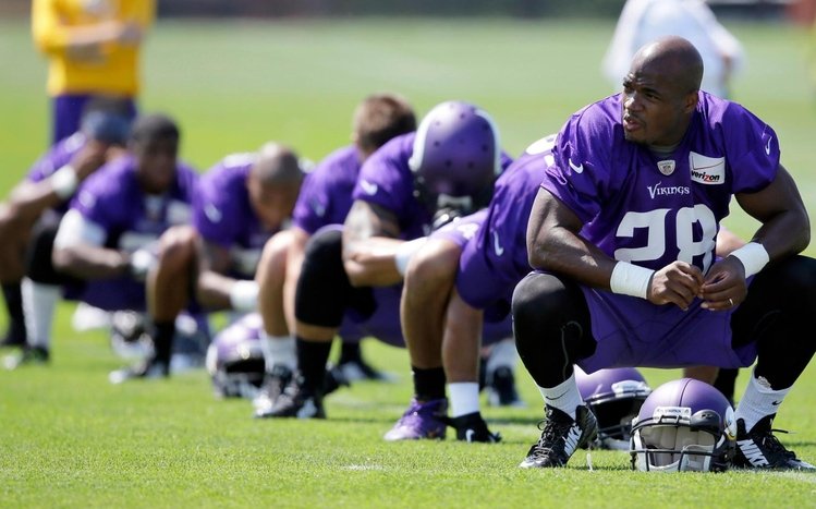 Adrian Peterson Theme screenshot #14