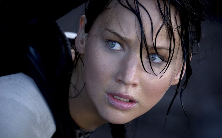 Catching Fire Theme screenshot #4