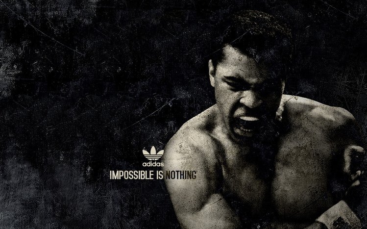 Muhammad Ali Theme screenshot #9