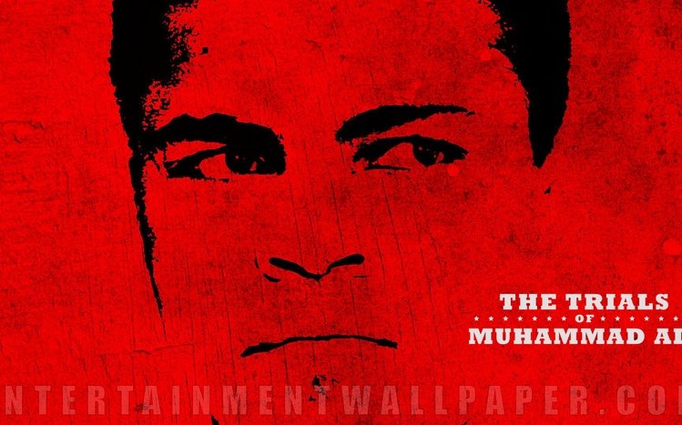 Muhammad Ali Theme screenshot #14